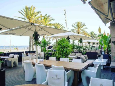 belvédère table vip zone réelle